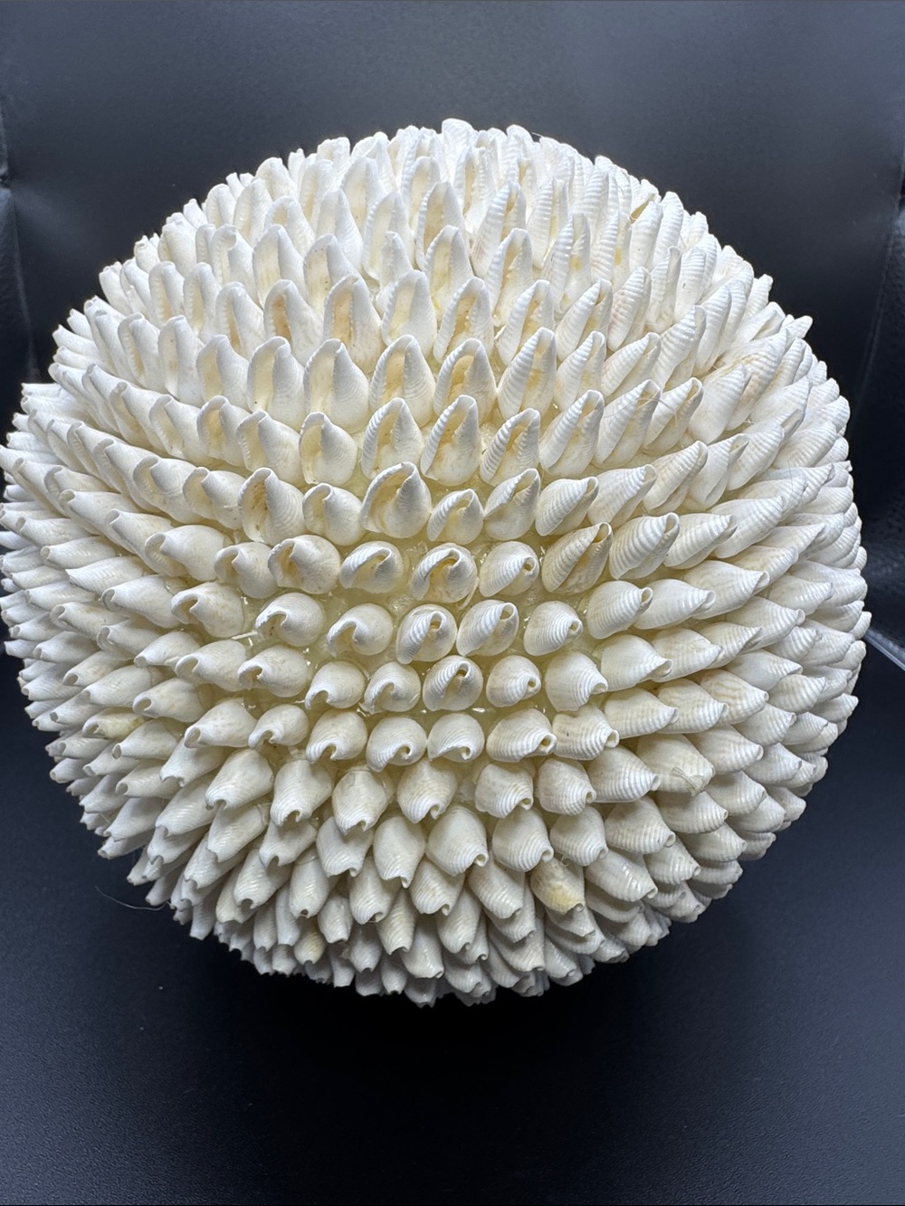 Vintage Handmade White Bubble Clamrose Seashell Decorative Orb Ball 5”